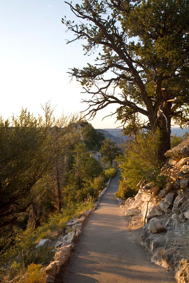 morning trail